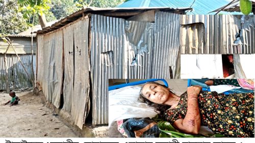 ধনবাড়ীতে সন্ত্রাসী হামলায় বাড়িঘর ভাঙচুর