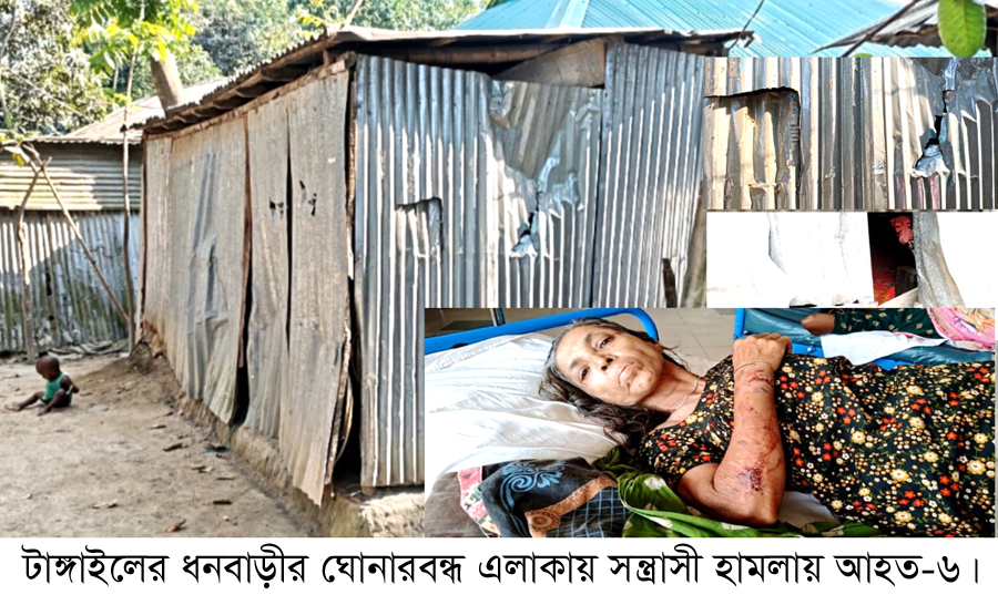 ধনবাড়ীতে সন্ত্রাসী হামলায় বাড়িঘর ভাঙচুর