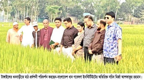 কৃষিকে আধুনিকায়নে কাজ করে যাচ্ছে বাংলাদেশ ধান গবেষণা ইনস্টিটিউট