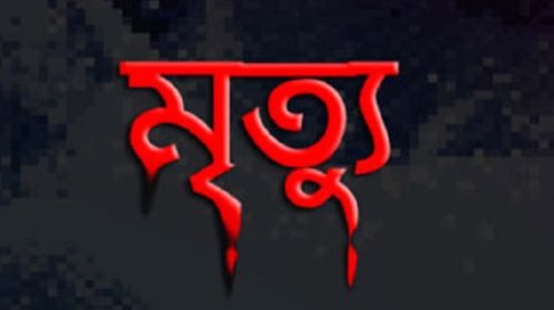 সিংড়ায় বজ্রপাতে ধান কাটা শ্রমিকের মৃত্যু