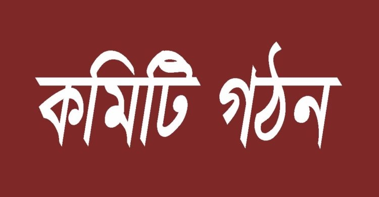 ধুনট উপজেলা যুবদলের নতুন কমিটি গঠন