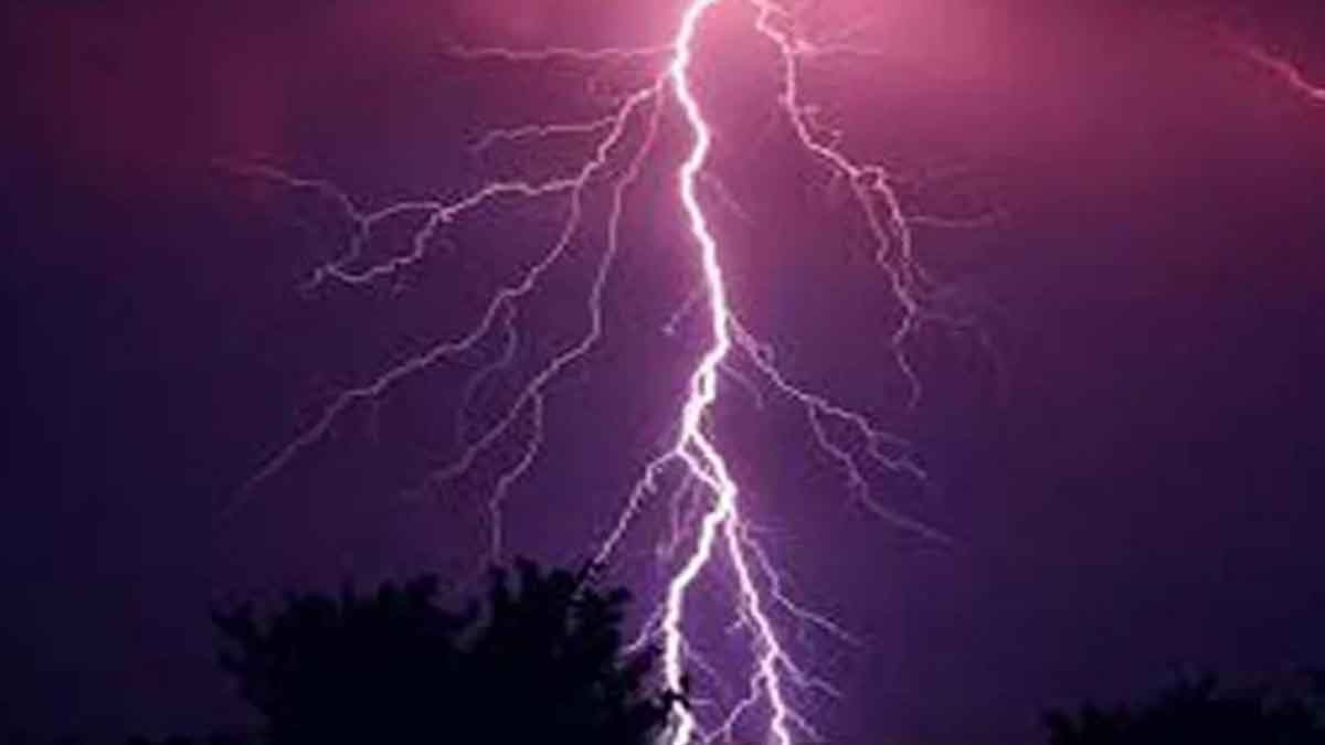 গৌরীপুরে বজ্রপাতে এক জনের মৃত্যু