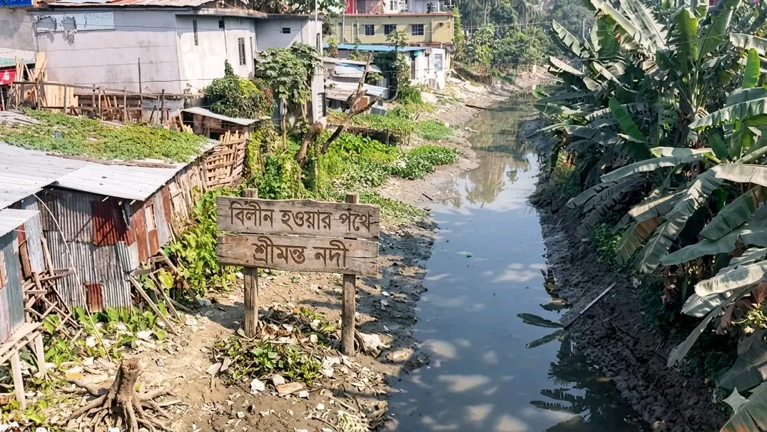 মৃত্যুর দ্বারপ্রান্তে বাকেরগঞ্জের শ্রীমন্ত নদী: দখল ও দূষণে হারাচ্ছে অস্তিত্ব