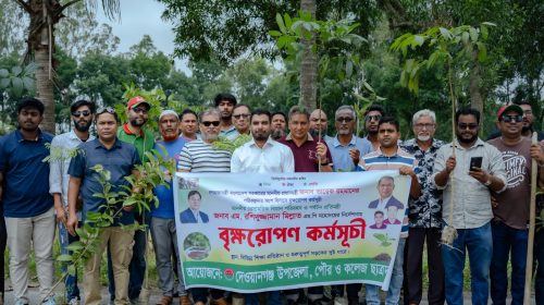 দেওয়ানগঞ্জে ছাত্রদলের বৃক্ষরোপণ কর্মসূচি