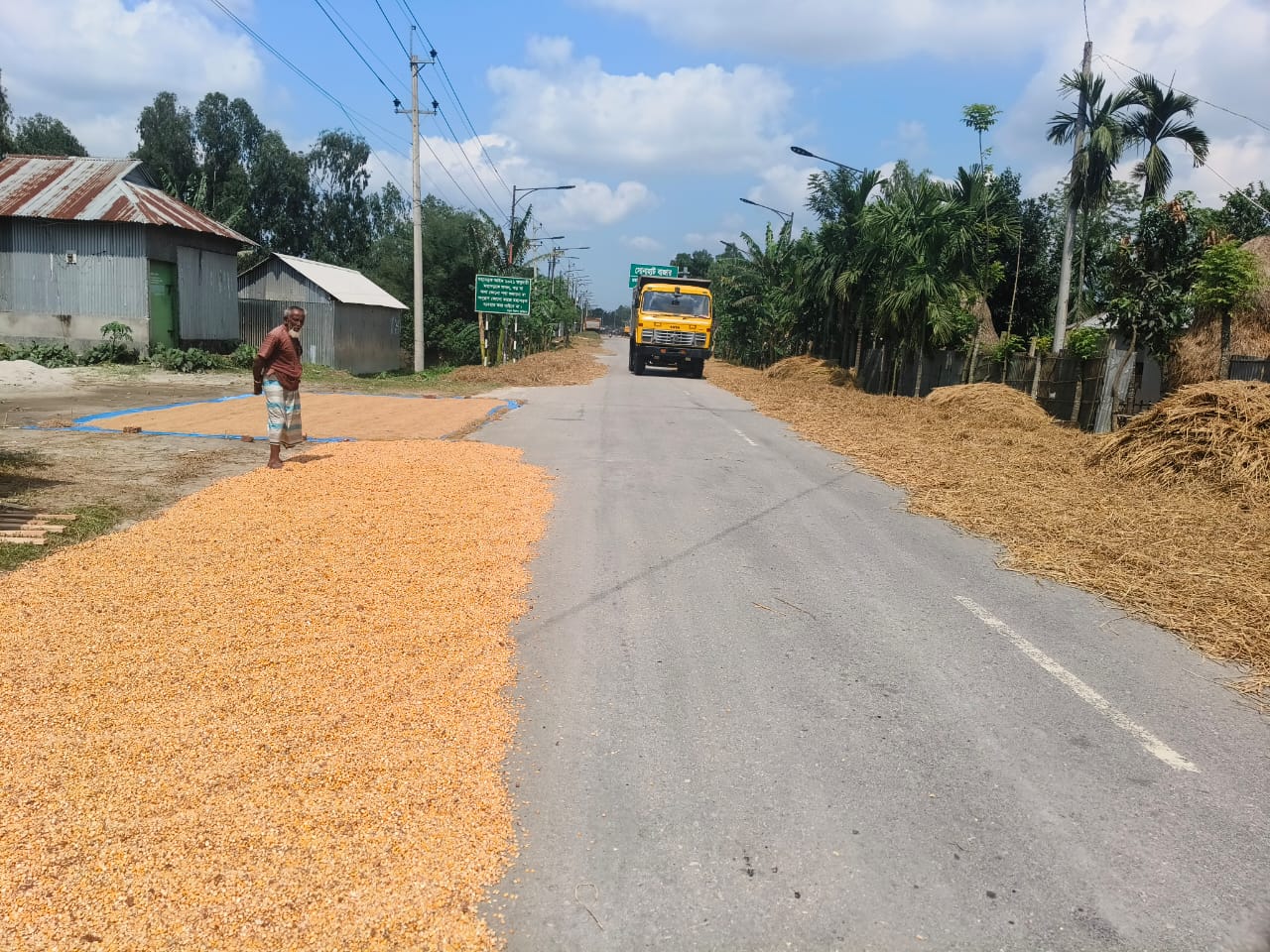ভূরুঙ্গামারীতে ৭ দিন পর রোদের দেখা ধান শুকানোর মেলা বসেছে সড়কে