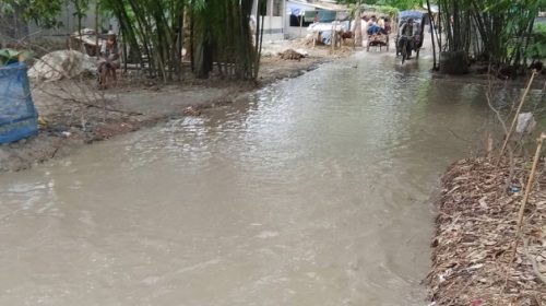 সামান্য বৃষ্টিতেই জলাবদ্ধতা চরম দুর্ভোগে খামারকান্দি ইউনিয়নের শিক্ষার্থী ও সাধারণ মানুষ